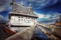 Вижте околосветски круиз 31