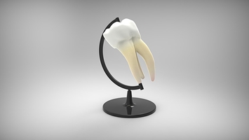Offers for Dental Implants 29