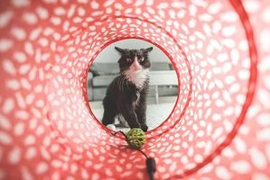 Ефектни детски играчки 34 - детски играчки ООД Ефектни детски играчки 34