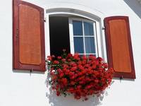 Schau mal rein Fensterfolie Sichtschutz 12 - rund-ums-fenster.at Schau mal rein Fensterfolie Sichtschutz 12