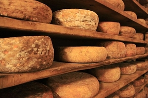 Видове италиански хранителни продукти 38 - италиански хранителни продукти ООД Видове италиански хранителни продукти 38