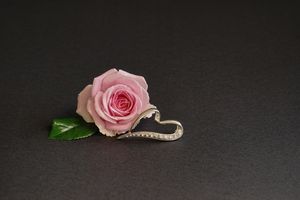Вижте нашите Подаръци за сватба 19 - Elephantbookstore Вижте нашите Подаръци за сватба 19