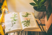 книги - 94536 - намерете най-добрите книги - 81327 - намерете най-добрите