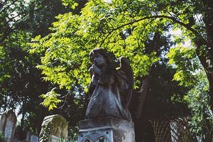 кремация - 45863 снимки кремация - 47459 снимки