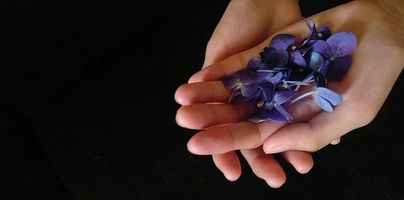 ПАРНА БАНЯ - 47743 възможности ПАРНА БАНЯ - 4908 възможности
