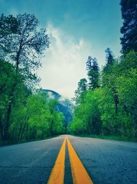 Rent A Car Bulgaria - 92220 options Rent A Car Bulgaria - 77698 options