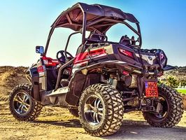 Buggies - 18031 prices