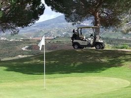 Buggies - 72741 awards