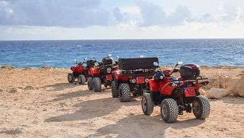 Buggies - 97344 prices