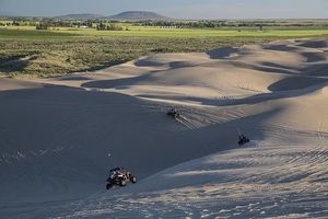 Buggies - 11205 achievements