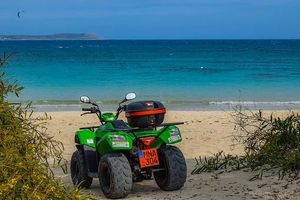 Buggies - 85157 discounts