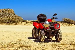 Buggies - 47754 bestsellers