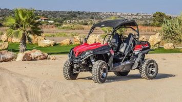 Buggies - 91100 prices