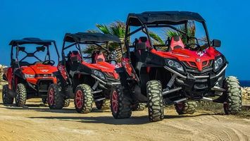 Buggies - 88451 offers