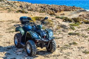 Buggies - 14898 suggestions