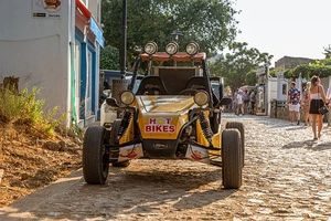 Buggies - 13150 achievements