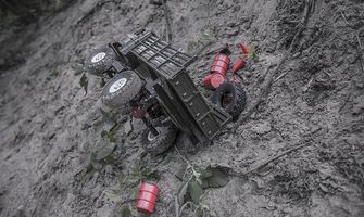 Buggies - 74091 awards