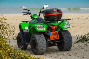 Buggies - 68768 awards