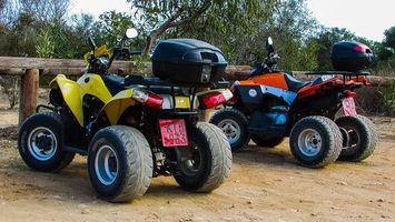 Buggies - 96306 suggestions