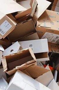 фолиа - 70884 вида фолиа - 80769 вида
