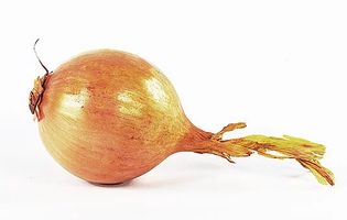 продуктова фотография - 5329 цени продуктова фотография - 69000 цени