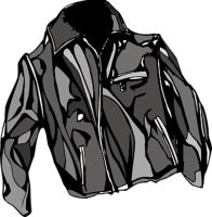 Mens Jacket - 2006 options