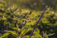 Insektenschutztür - 94583 Vorschläge Insektenschutztür - 39846 Vorschläge