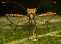 Insektenschutztür - 80558 Aktionen Insektenschutztür - 62416 Aktionen
