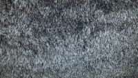 Carpet Cleaning Epsom - 64863 selection