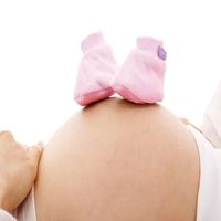 банка за стволови клетки - 71627 снимки банка за стволови клетки - 49959 снимки