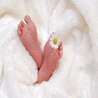 съхранение на стволови клетки - 17225 клиенти