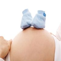 съхранение на стволови клетки - 34213 типа