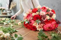 101 рози - 97939 селекции 101 рози - 59558 селекции