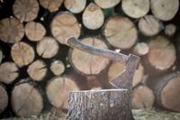 цепачки за дърва - 85084 промоции цепачки за дърва - 91417 промоции