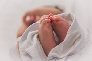 бебешки бодита с предно закопчаване за момче - 2168 вида