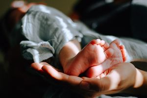 комплекти от две части от органичен памук - 72619 бестселъри комплекти от две части от органичен памук - 32170 бестселъри