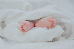 комплекти от две части от органичен памук - 56287 снимки комплекти от две части от органичен памук - 70113 снимки