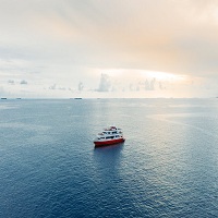 меден месец - 85413 вида меден месец - 45208 вида