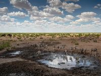 екскурзия Етиопия - 44161 комбинации екскурзия Етиопия - 60328 комбинации