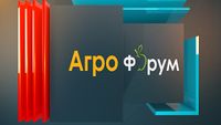 овощарство - 37820 постижения