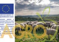 горско стопанство - 18207 новини | AgroTV горско стопанство - 48361 новини