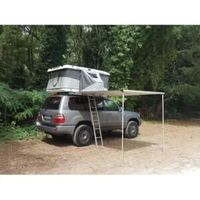 Ikamper - 50781 speciile
