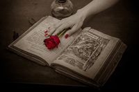 разделител за книга щипка - 47572 вида | Нови книги разделител за книга щипка - 73795 вида