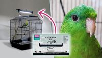 витамини за папагали - 24660 комбинации | Parrots Paradise витамини за папагали - 97047 комбинации