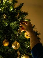 Коледна фотосесия - 81546 отстъпки