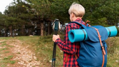 щеки - 24326 оферти