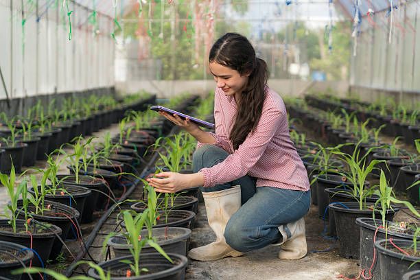 селско стопанство - 73413 типа