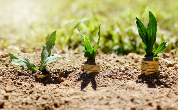 субсидии - 79541 промоции