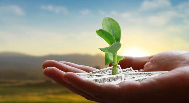 субсидии - 49701 предложения