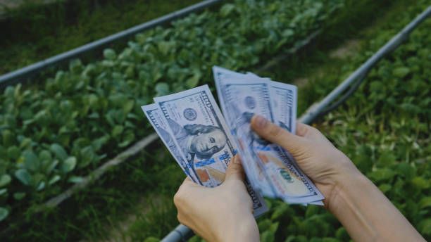 субсидии - 47561 предложения